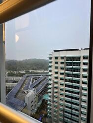 Blk 486 Segar Grove (Bukit Panjang), HDB 4 Rooms #637363771